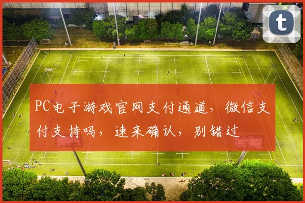 PC电子游戏官网支付通道，微信支付支持吗，速来确认，别错过